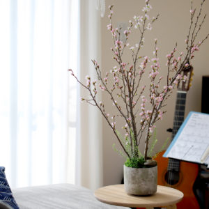 自宅で！桜のお花見キット