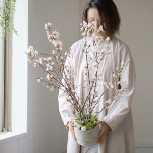 自宅で桜のお花見キット