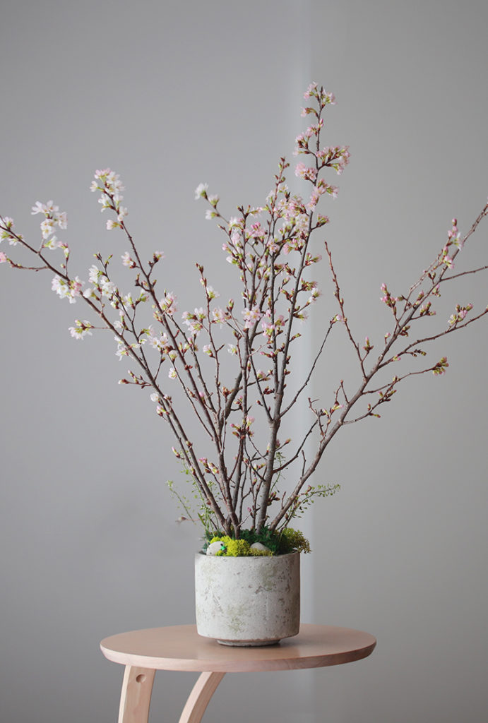 自宅で！桜のお花見キット