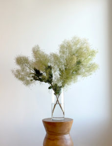 スモークツリー