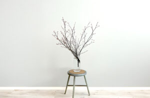 旬をかざる枝もの定期便